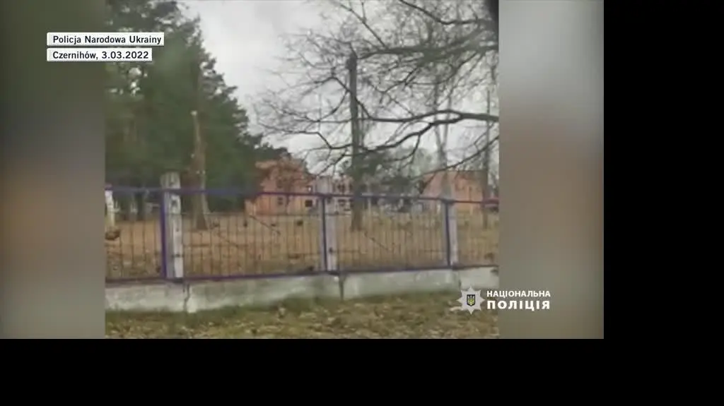Dla Tatiany2