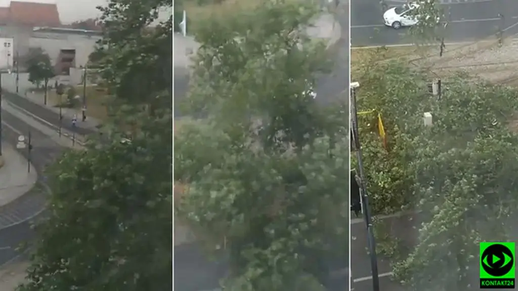 Ogromne drzewo runęło na ulicę. Siła burzy na nagraniach