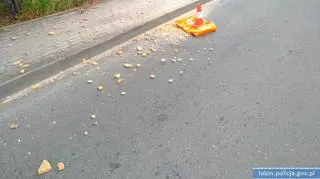 W torbie było 10 kilogramów klefedronu i mefedronu