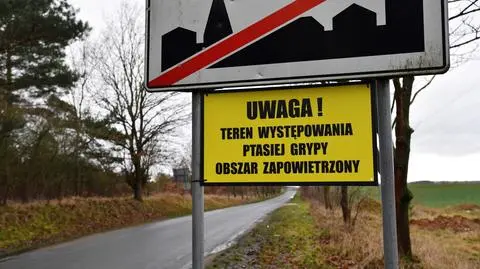 Ogniska ptasiej grypy