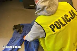 W mieszkaniu 44-latka znaleziono spodnie i rękawiczki widoczne na nagraniu