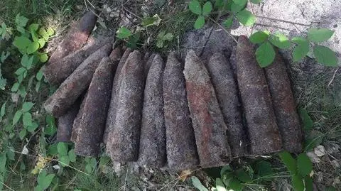 Ktoś wykopał z ziemi 27 niewybuchów. Wezwani saperzy znaleźli ich łącznie 191