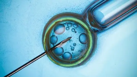 Procedura in vitro