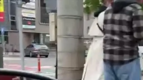 Ponad 20 dzików w centrum Gdyni