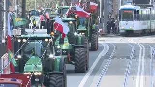 Rolnicy przejechali przez Szczecin