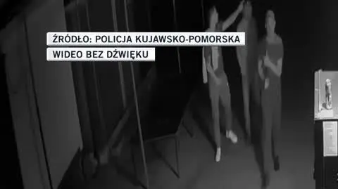 policja tamara
