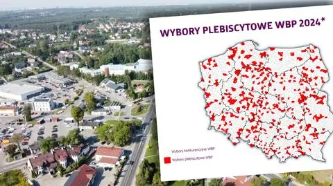 Plebiscyty zamiast wyborów