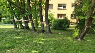 Protest mieszkańców w sprawie wycinki drzew w Krakowie