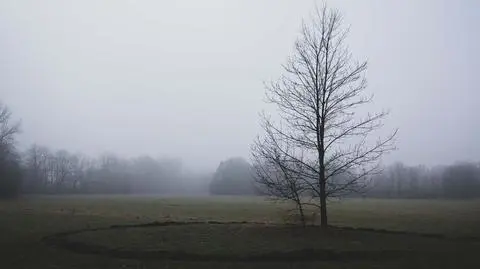 W piątek niebo spowiją chmury, lokalnie możliwe rozpogodzenia 