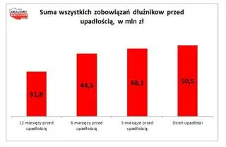 Suma wszystkich zobowiązań dłużników-bankrutów