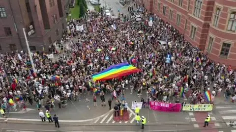 1008N317XR PIS DNZ OTREBA FURGONETKA