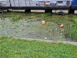 Zrzut ścieków pod Wawelem