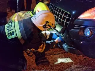Strażacy wyciągali zakleszczonego w zderzaku psa