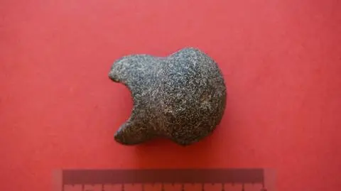 Fragment kamiennego topora ma około 5,5 cm długości 