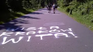 Wandali zauważyli turyści i zawiadomili policję