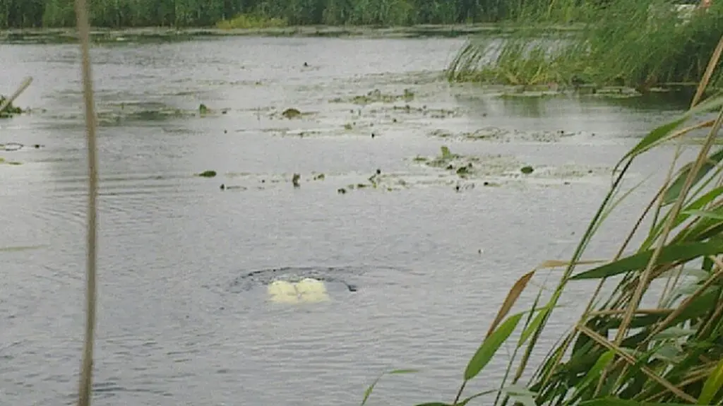 Kajakarza szukali płetwonurkowie