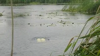 Kajakarza szukali płetwonurkowie