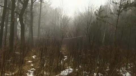 "Usłyszał straszny huk, natychmiast ruszył z pomocą". Śmigłowiec spadł do lasu. Dwie osoby nie żyją