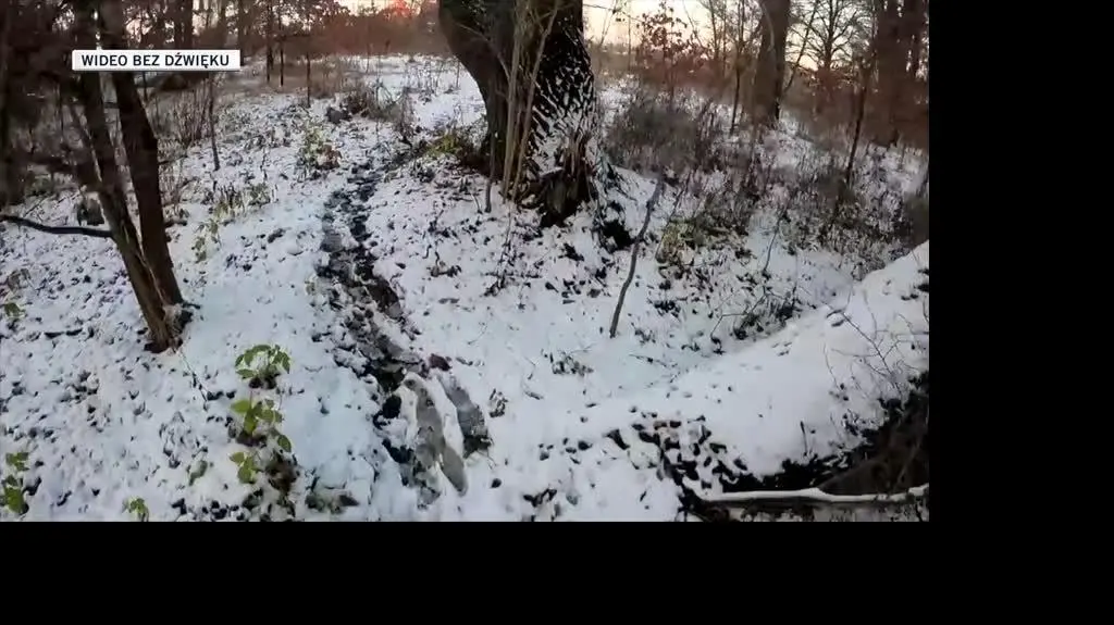 skradziony