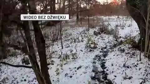 skradziony