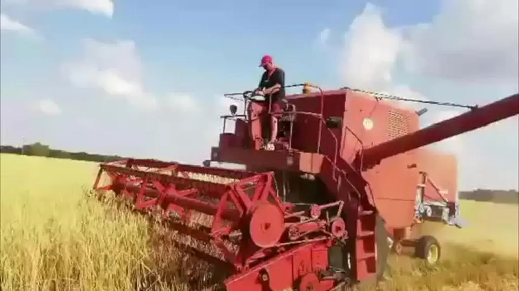 popa czym się zajmuję