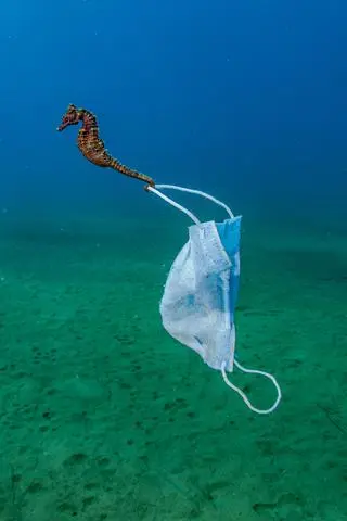 Nicholas Samaras, zdjęcie nominowane w konkursie Ocean Photographer of the Year 2021 w kategorii Ochrona