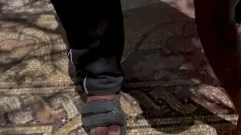 PALESTYNA DLA KAROLA