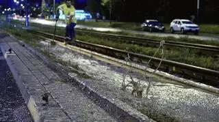 Substancja ma zostać poddana badaniom