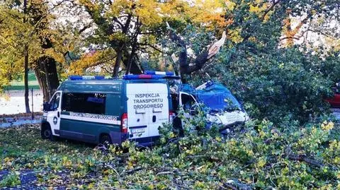 Drzewo spadło na radiowozy Inspekcji Transportu Drogowego