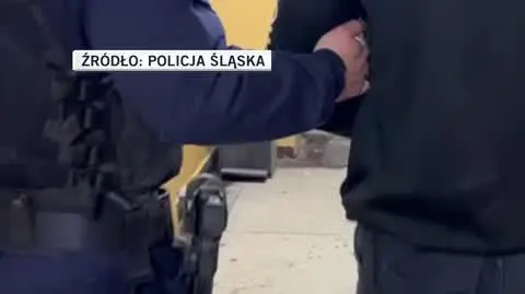 Policja Śląska