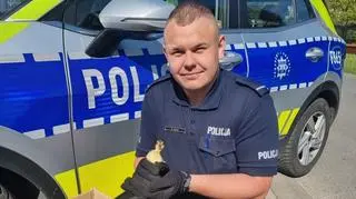 Ptaki pomogli odłowić policjanci