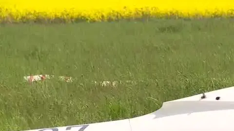 TVN24 Clean_20210521143409(8736)_aac