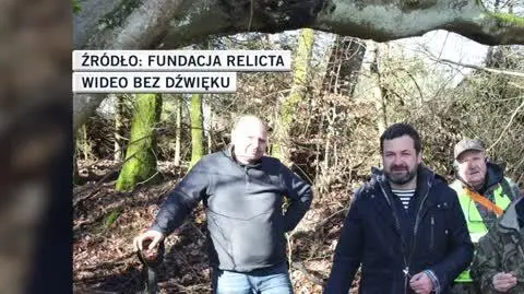 Fundacja Relicta