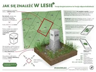 Jak odnaleźć się w lesie?