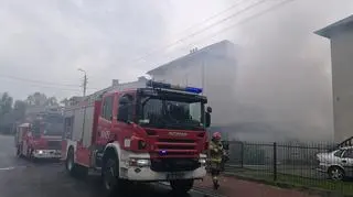 Z ogniem walczyły zastępy Państwowej i Ochotniczej Straży Pożarnej