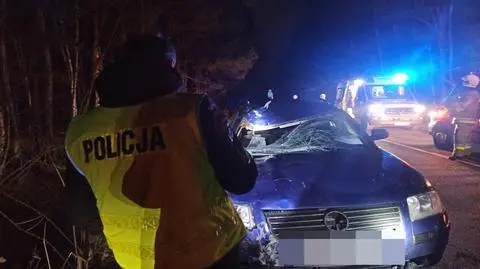 Kierowca auta został zatrzymany