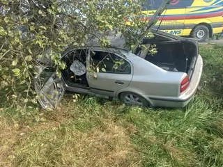 Wjechał do rowu i uderzył w drzewo, nie żyje