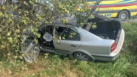 Wjechał do rowu i uderzył w drzewo, nie żyje