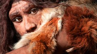 Neandertalczyk - ilustracja poglądowa 