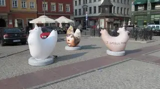 Kury na pl