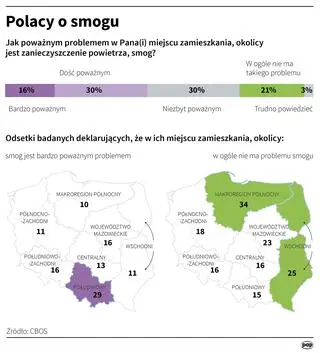 Polacy o smogu