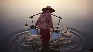 Wyróżnienie - Lady in Water