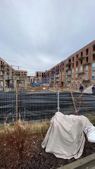 Żuraw przewrócony przez wiatr