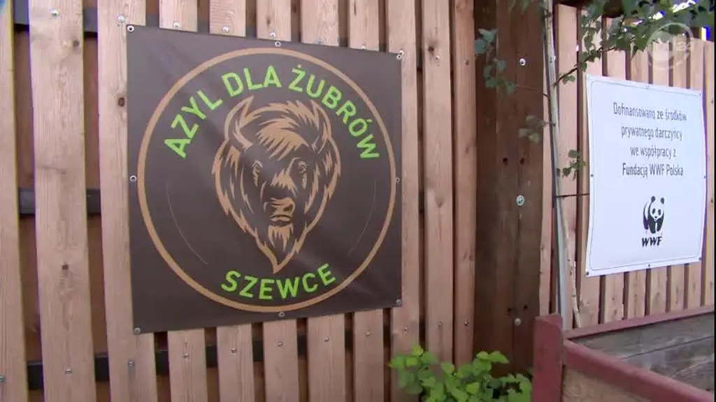 Ośrodek dla niegrzecznych żubrów