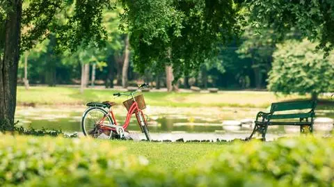 Słonecznie, pogodnie, rower, park