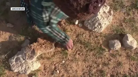 TRUFLE