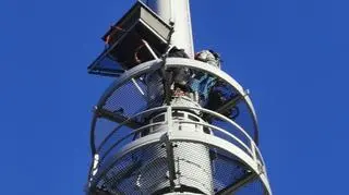 Budka zbudowana dla sokoła wędrownego