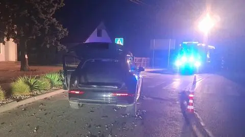 Uderzył w przydrożne drzewo 