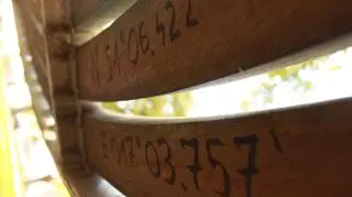 Współrzędne geograficzne