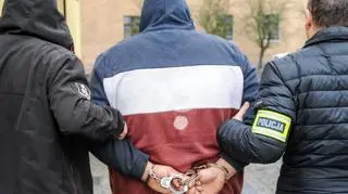 Zatrzymani usłyszeli zarzuty związane z kradzieżą aut i włamaniem oraz nielegalnym posiadaniem broni i amunicji